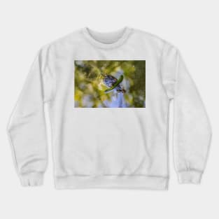 Wild Baby Alligator Crewneck Sweatshirt